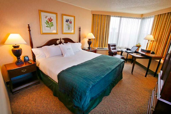 hotels12 6